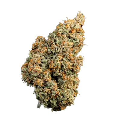 Oreoz Z Triploid cannabis bud