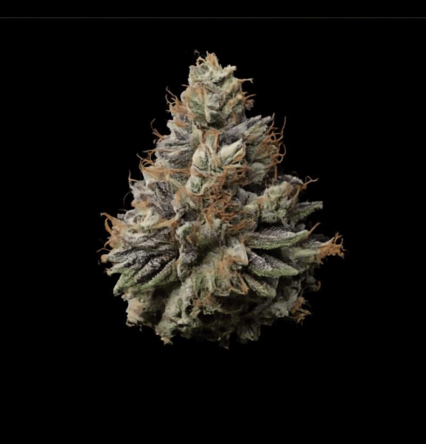 Permanent Marker Triploid cannabis bud